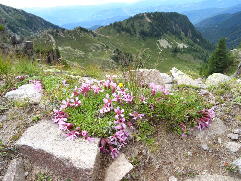 Catena dei Lagorai...da Pergine al Passo del Manghen